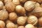 CORIANDOLO FRUTTI INTERI